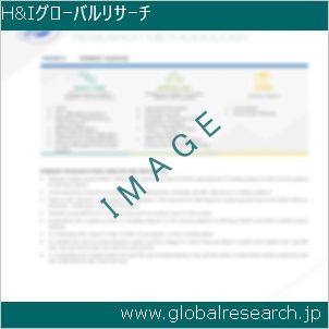 グローバルリサーチ調査レポートのイメージ
